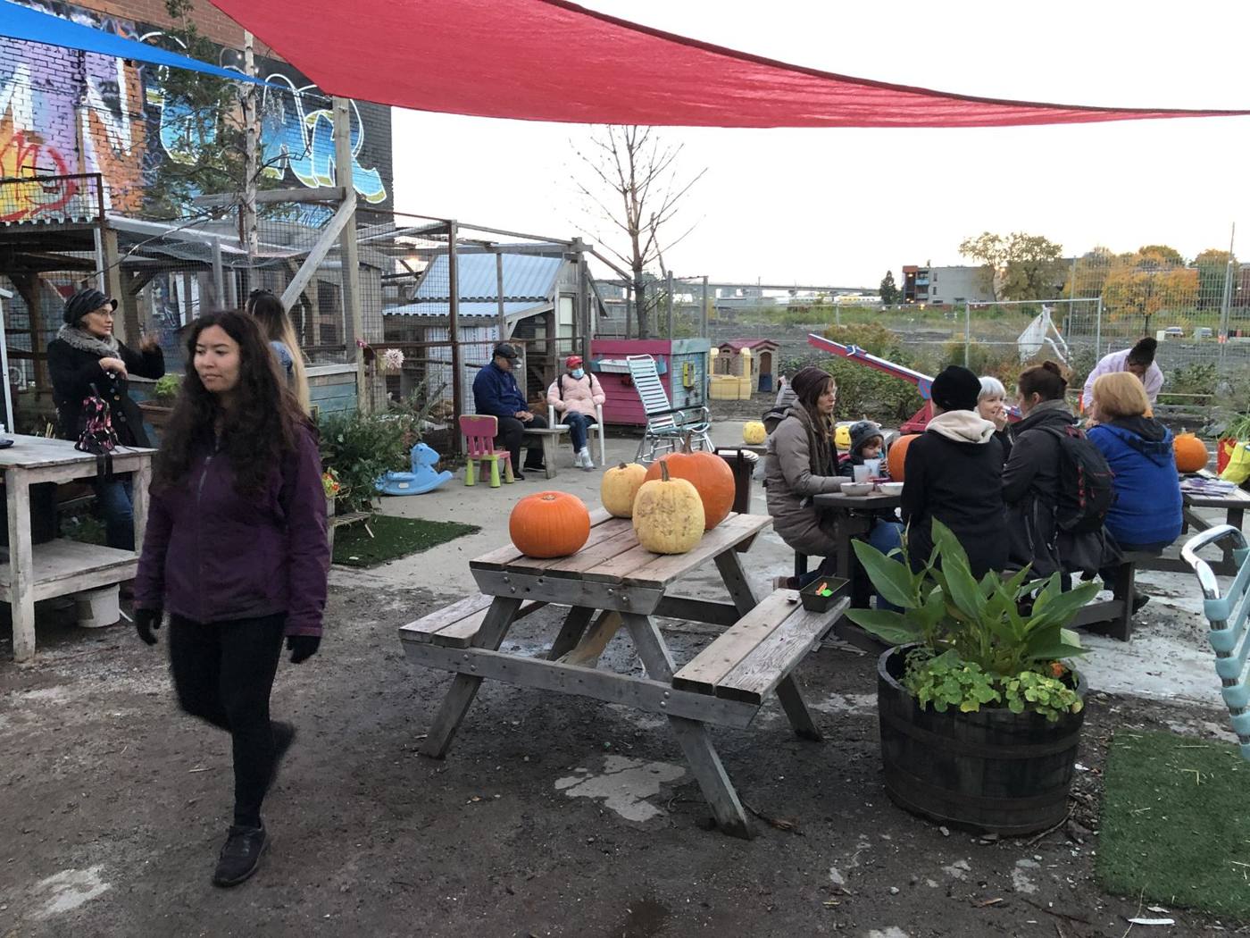 Atelier de sculpture de citrouilles