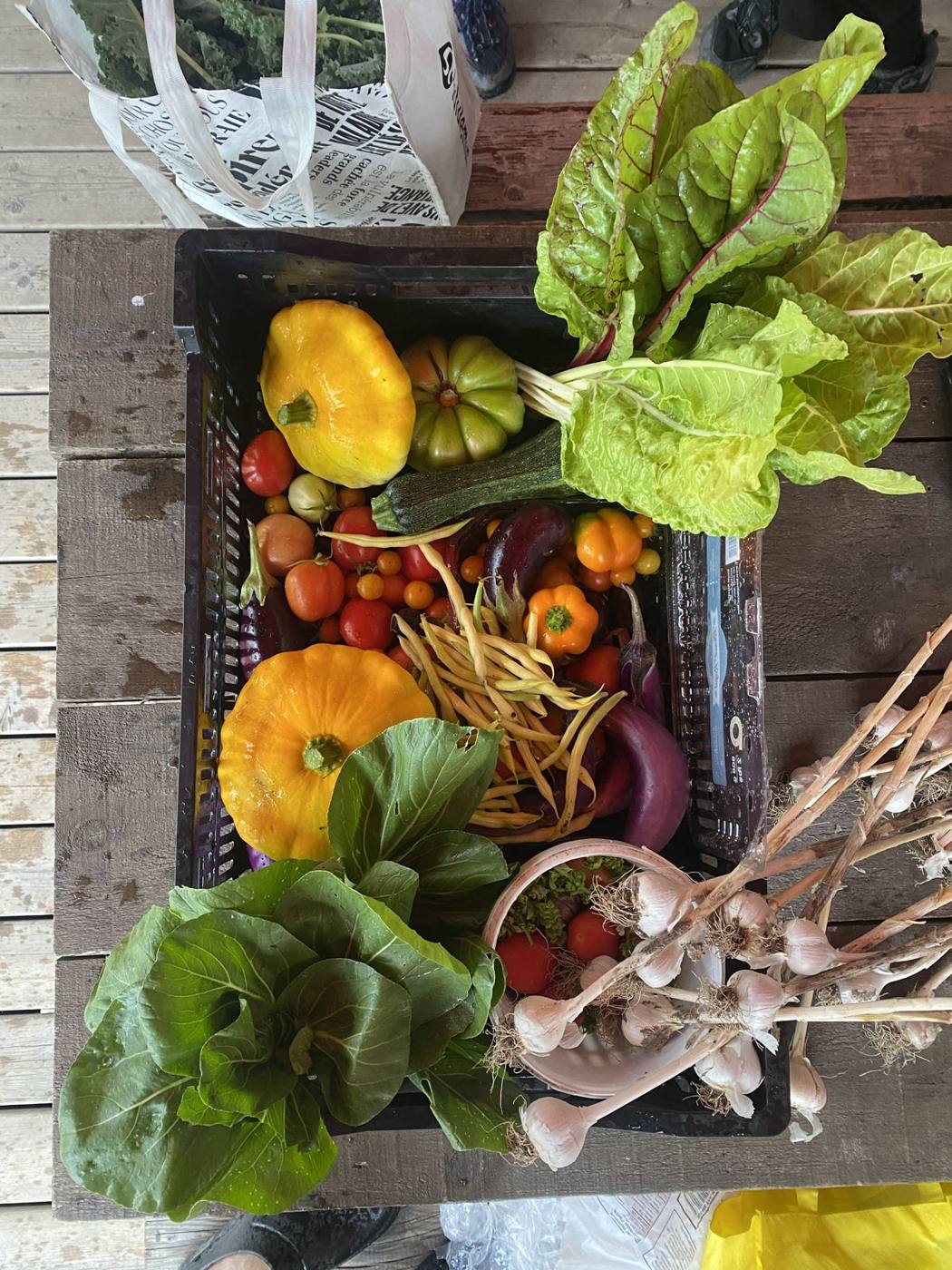 Panier de légumes fraîchement récoltés